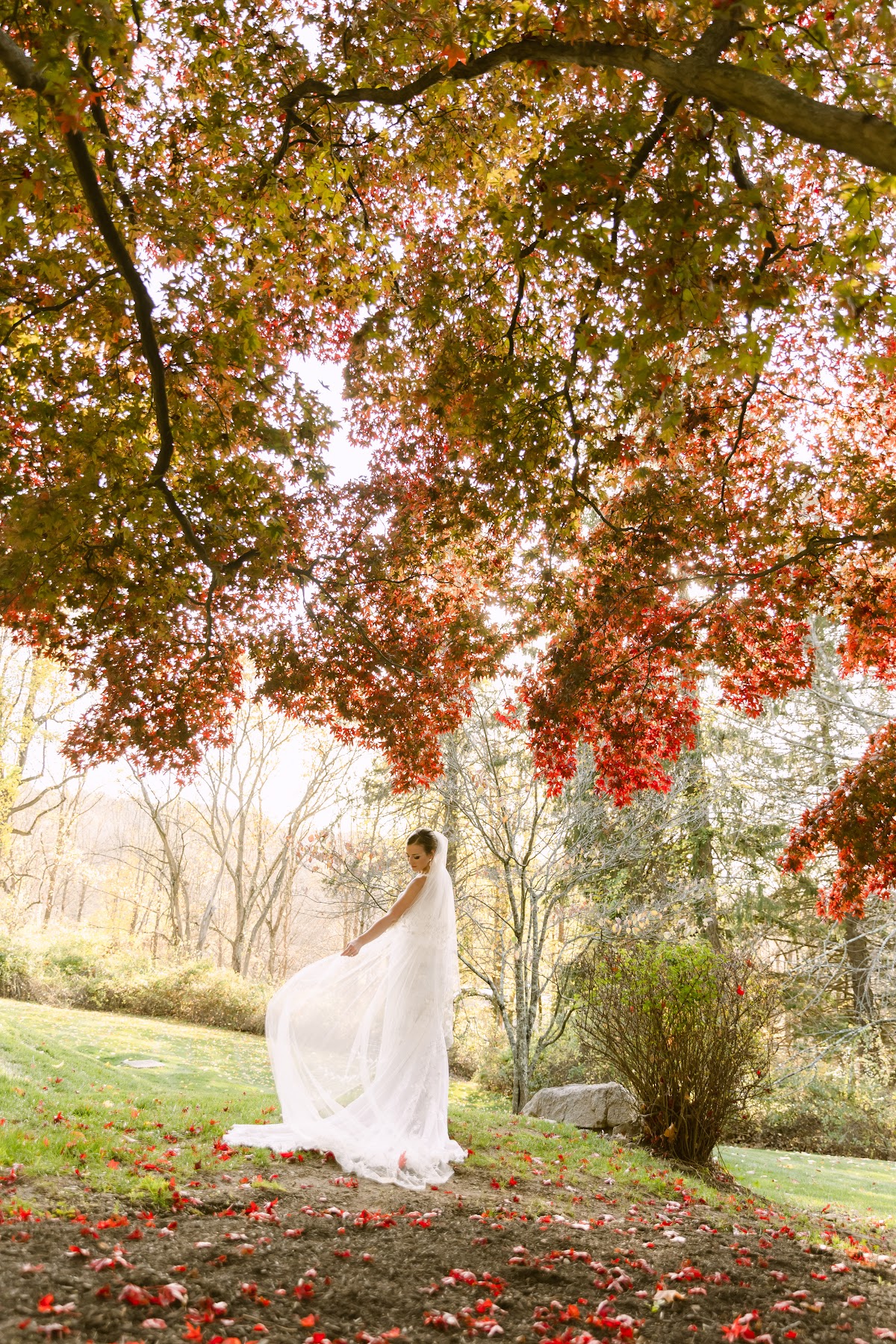 Dreamlife Wedding Photography & Video (New York): Google Places image 3