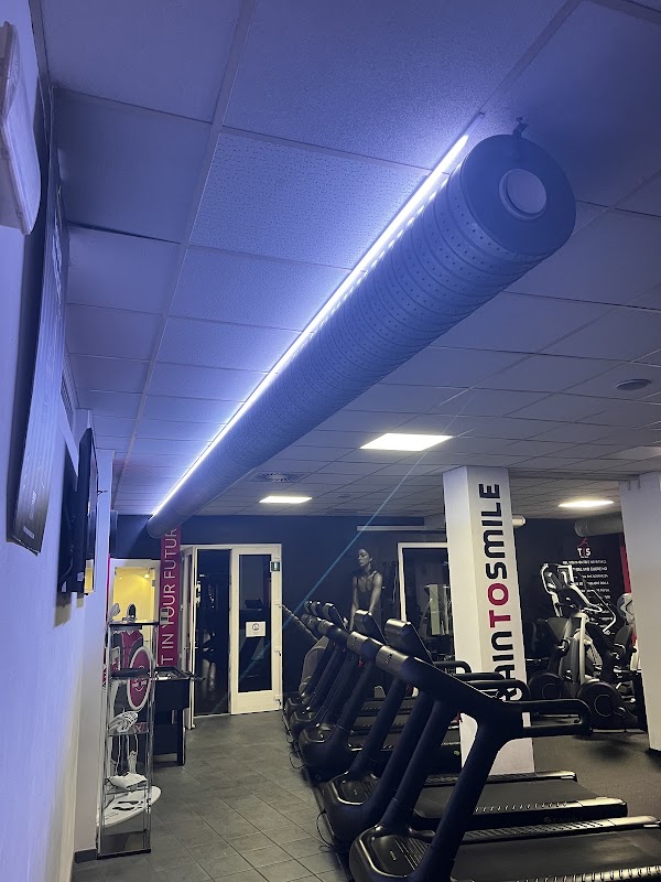 "TrainToSmile" Gym Fitness