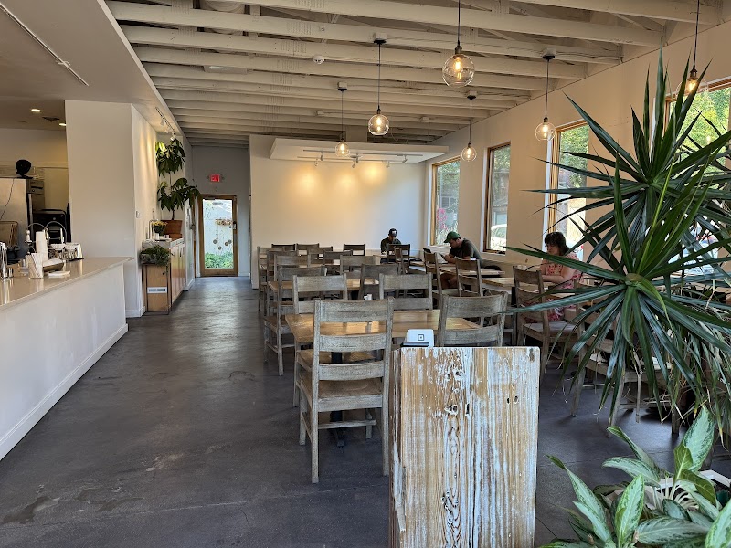 Fiddlehead Fern Cafe photo 4