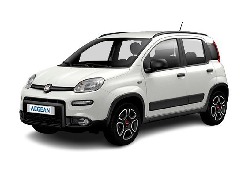 AEGEAN RENT A CAR ANDROS ISLAND