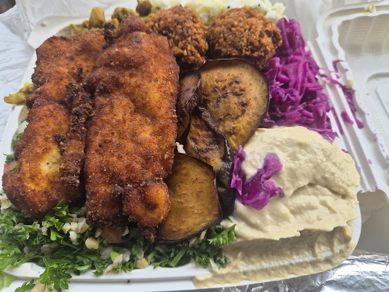 Shaloha Pita photo 3