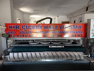 KIR ÇİÇEĞİ HALI VE KOLTUK YIKAMA MANAVGAT - Temizlik