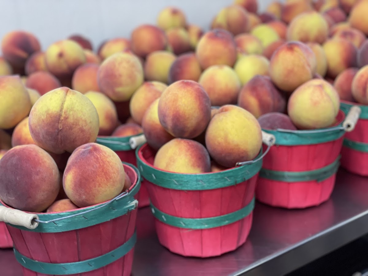 McLeod Farms at Pee Dee Farmers Market