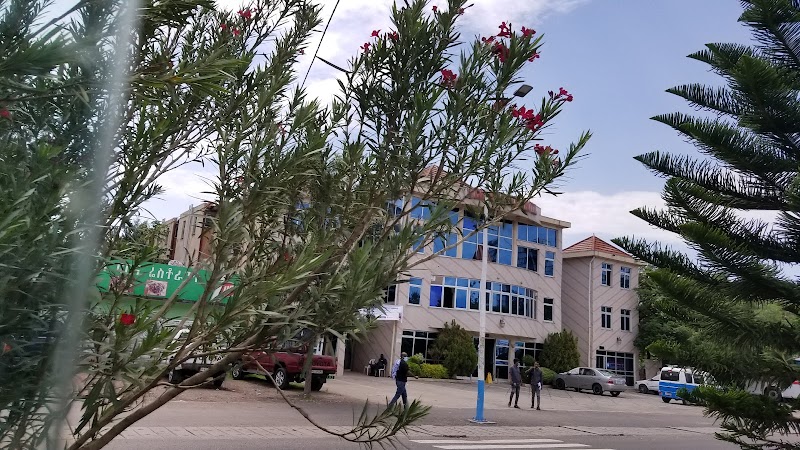 ታደስ እንጆሪ / Tadesse Enjory
