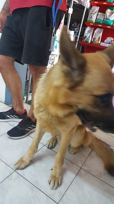 Foto 4