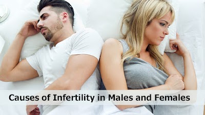 Dr. Karuna V & Dr. Namratha- Fertility Doctor in Vijayawada | Obstetrics & Best Gynaecologist in Vijayawada | with 25+ Exp - Image 2