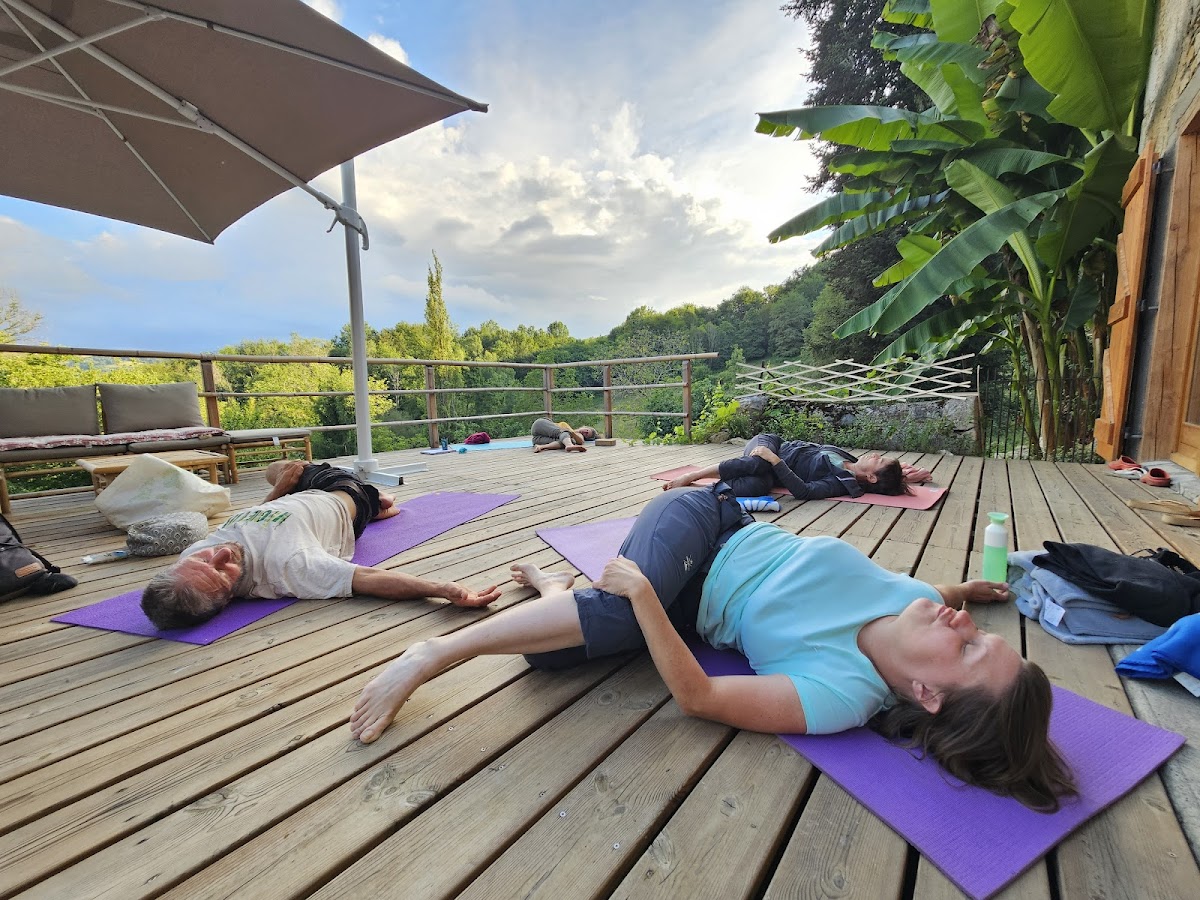 Yoga Et Reconnexion Course Hatha Vinyasa Near De Cazères — 4