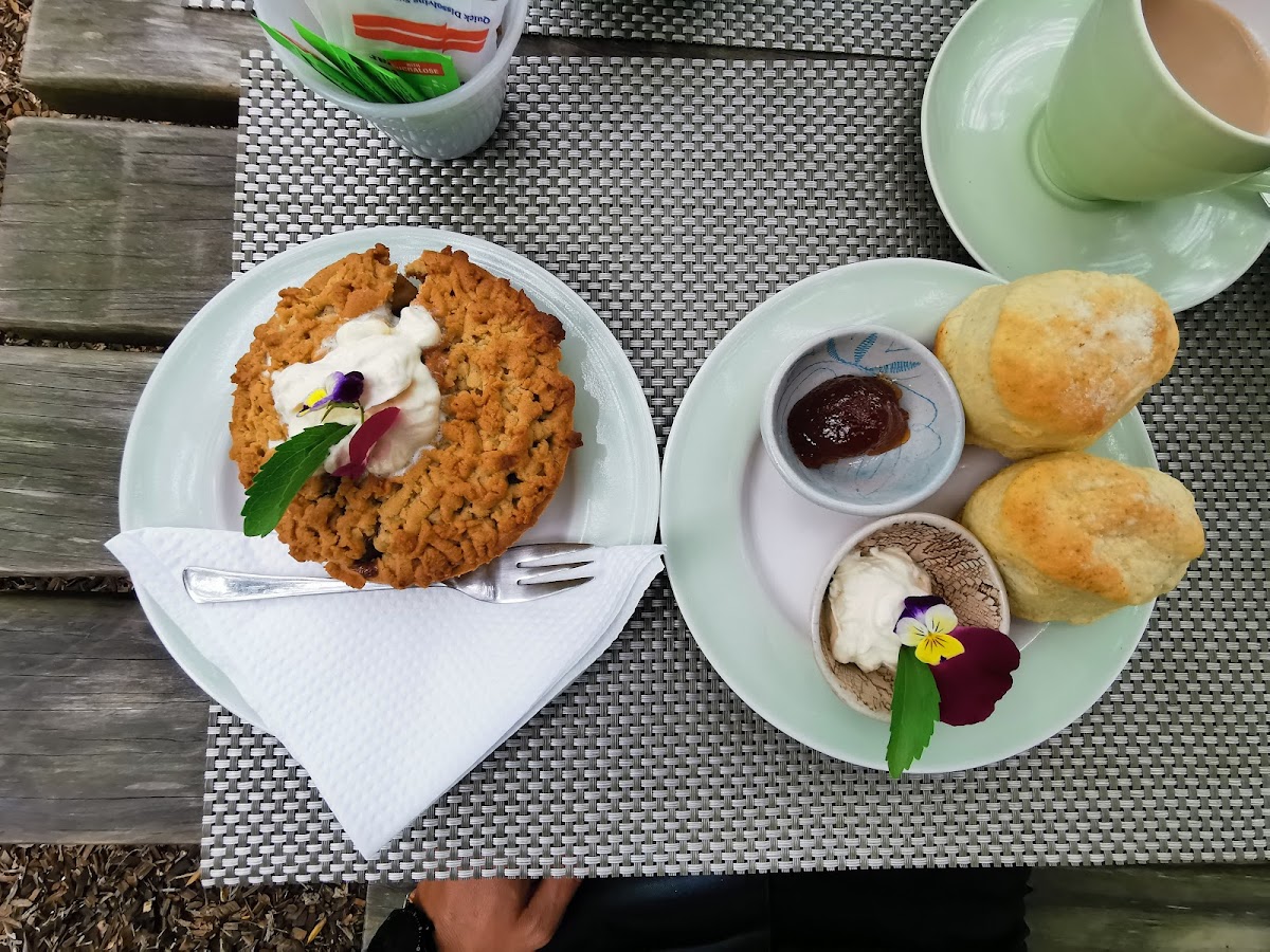 The Tea Junxion — photo 2