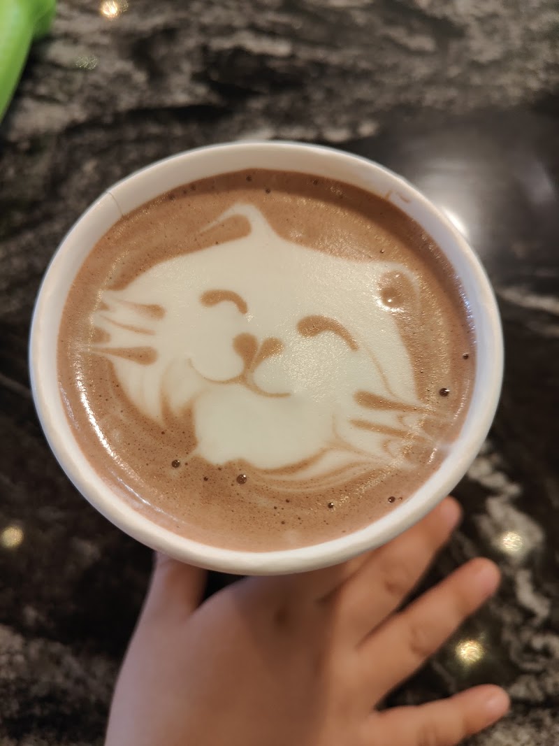 overwinter coffee - williamsville photo 3