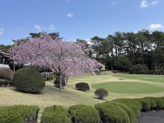 Haga Country Club - Photo 7