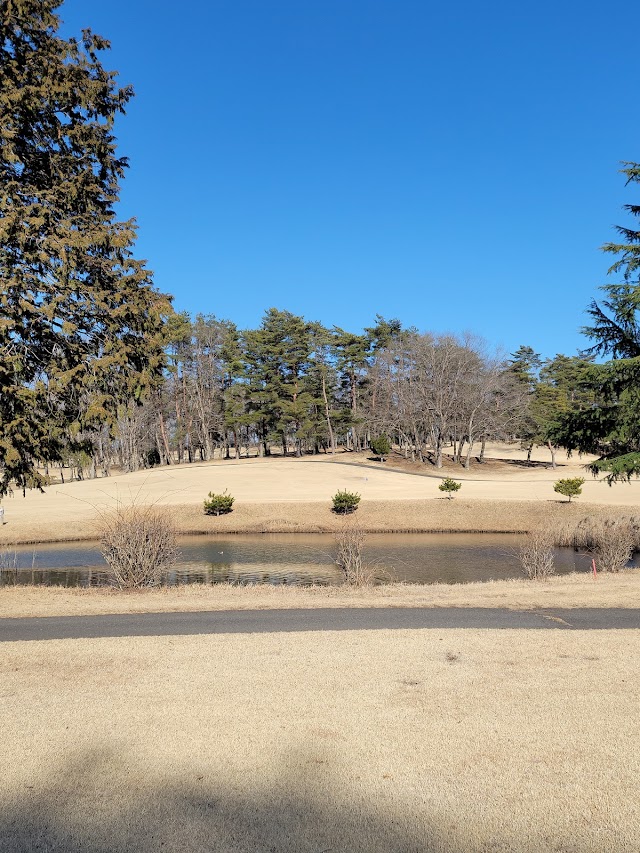 Haga Country Club - Photo 8