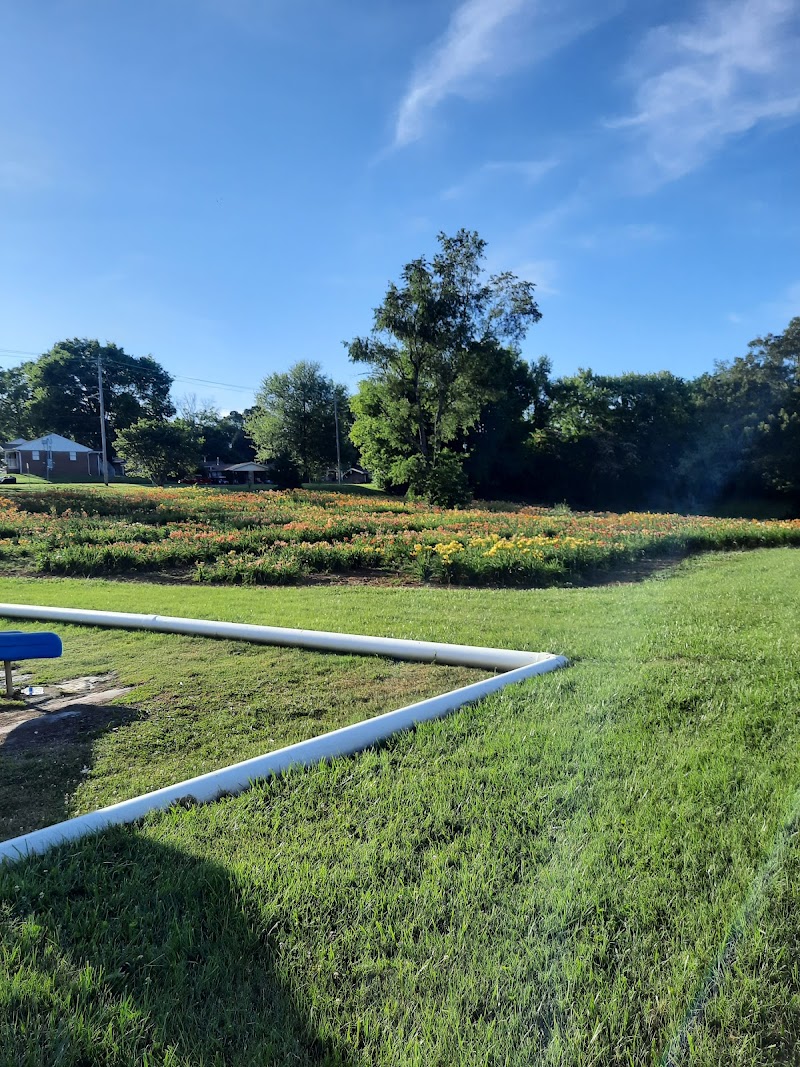 Centennial Park photo 4