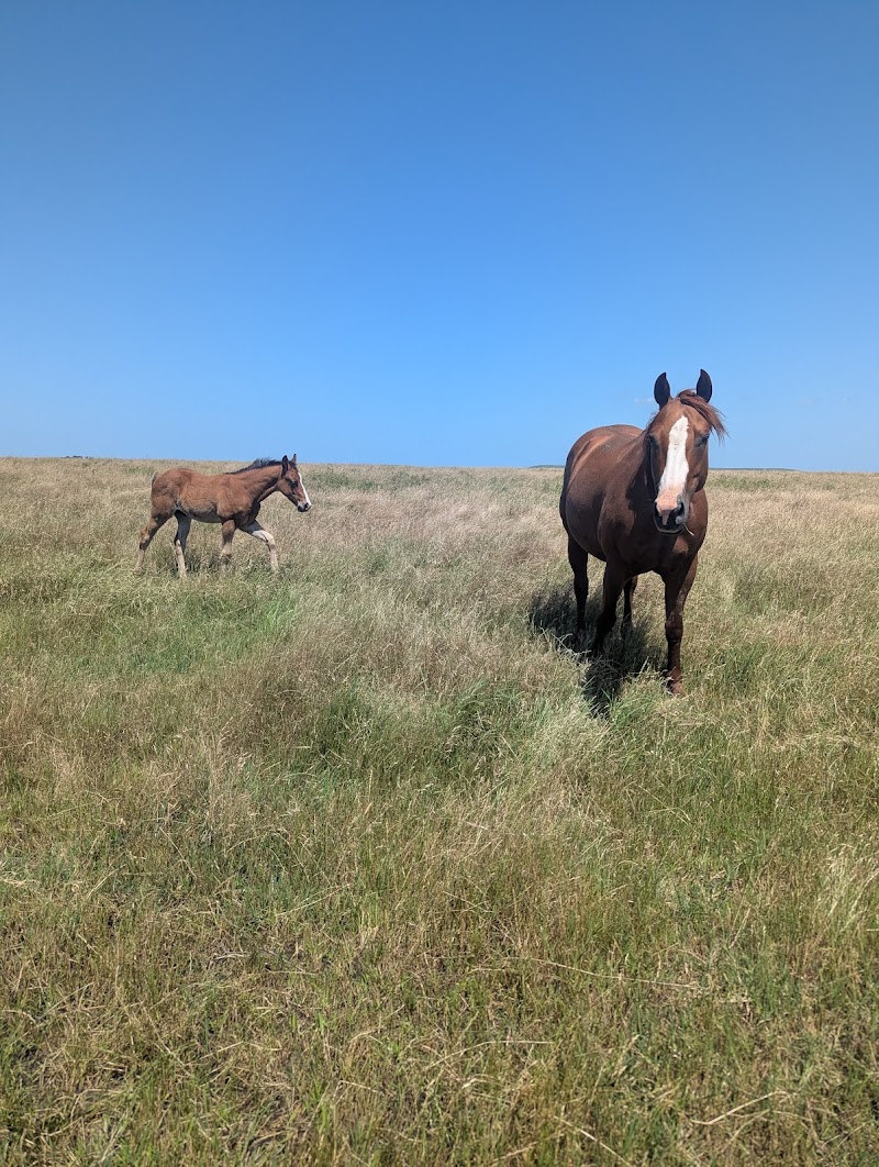 Liberty Ranch - Photo 3
