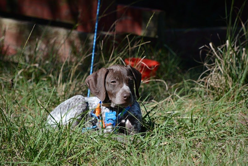 Little "q" Ranch - Photo 1