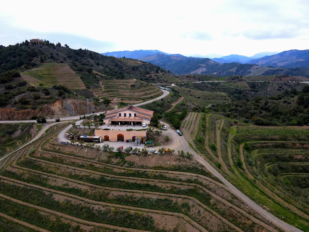 Hotel-Celler Buil & Giné
