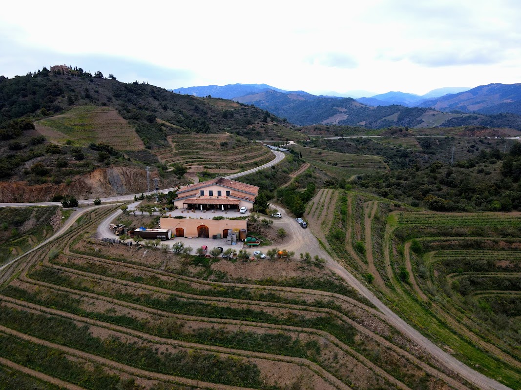 Hotel-Celler Buil & Giné