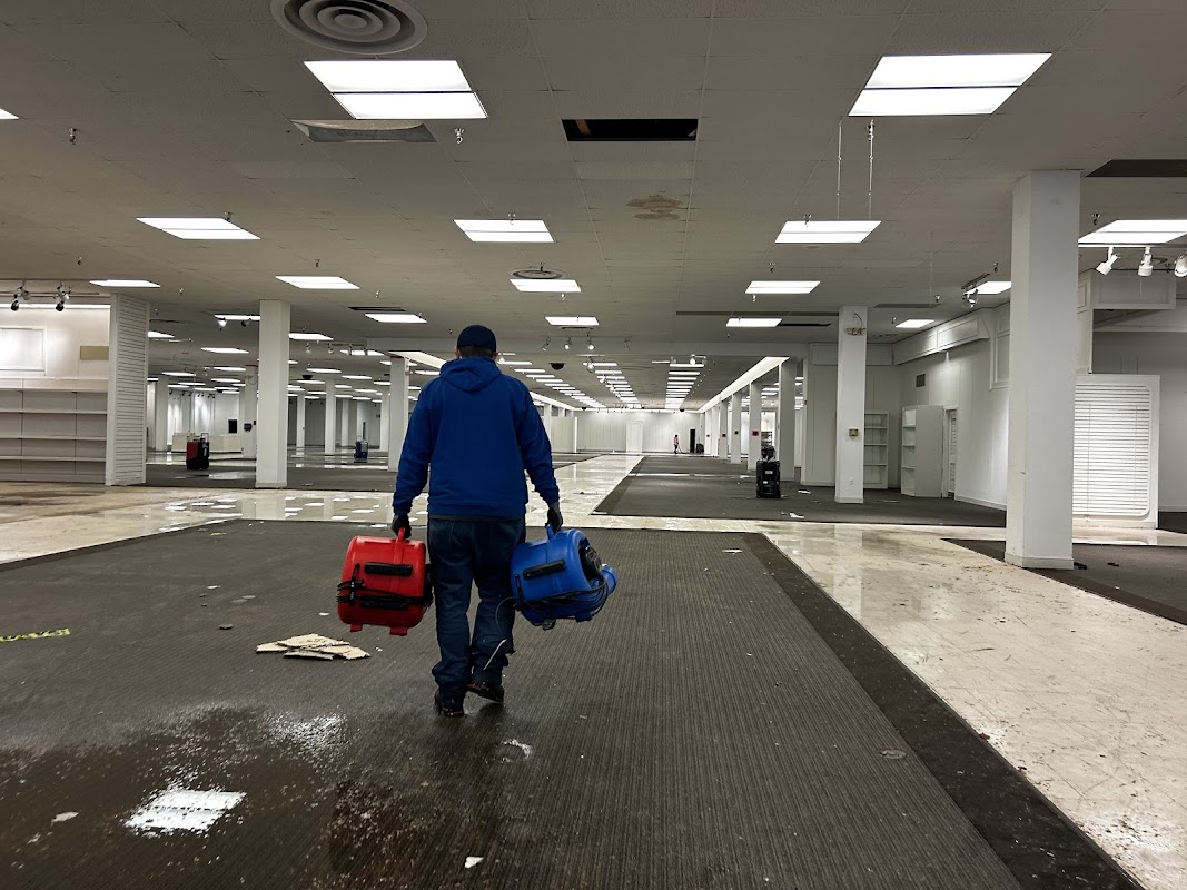 BluSky Restoration Contractors — photo