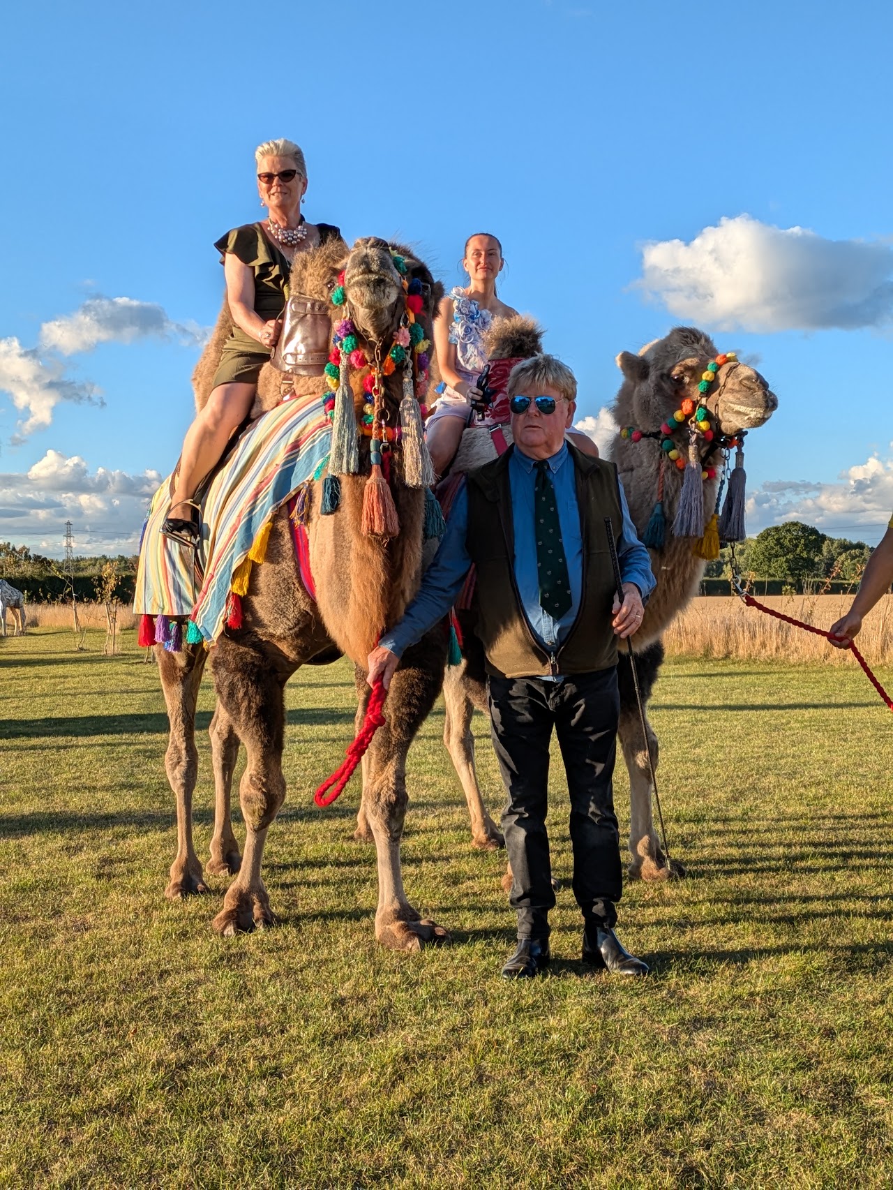 Josephs Amazing Camels