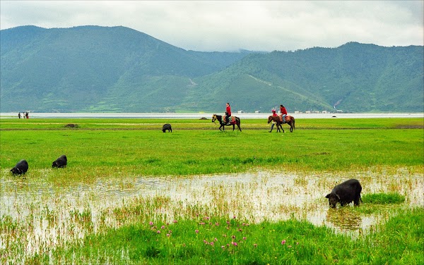 Yila Grassland of Napa Lake 1