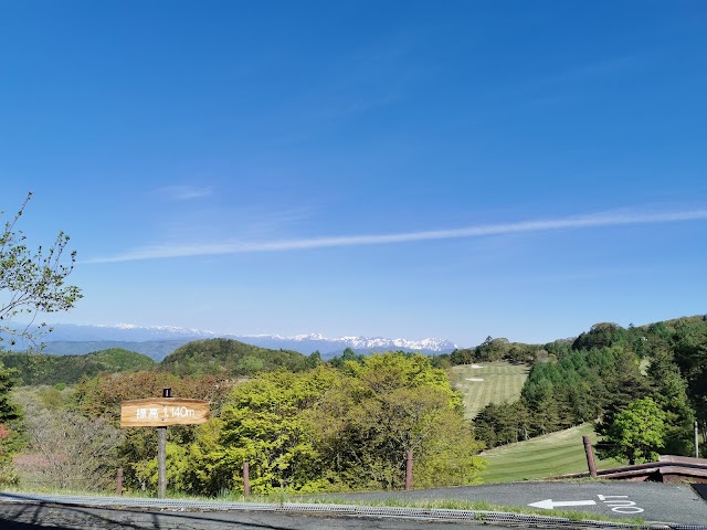 Sky Resort Golf Club - Photo 7