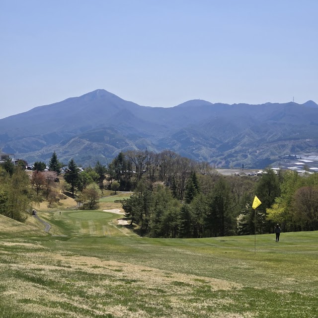 Sky Resort Golf Club - Photo 2