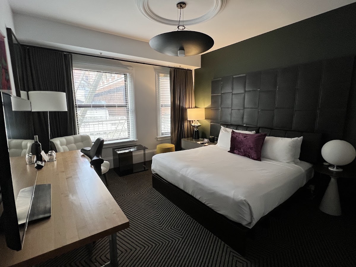 Hotel Zeppelin San Francisco, dog-friendly hotel