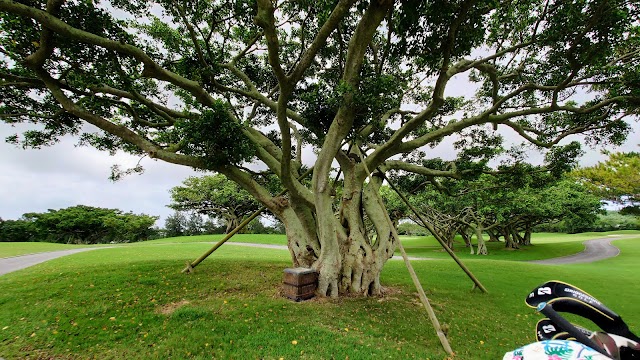 Naha Golf Club - Photo 9
