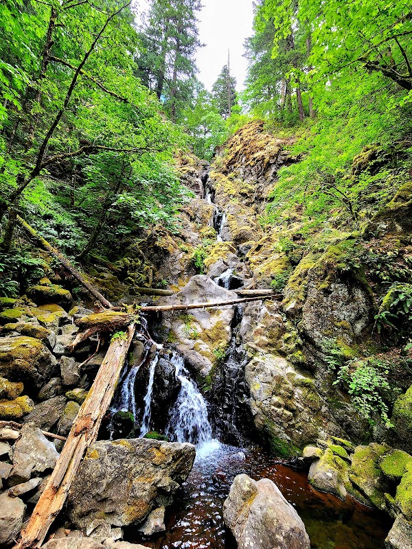 Rodney Falls 1