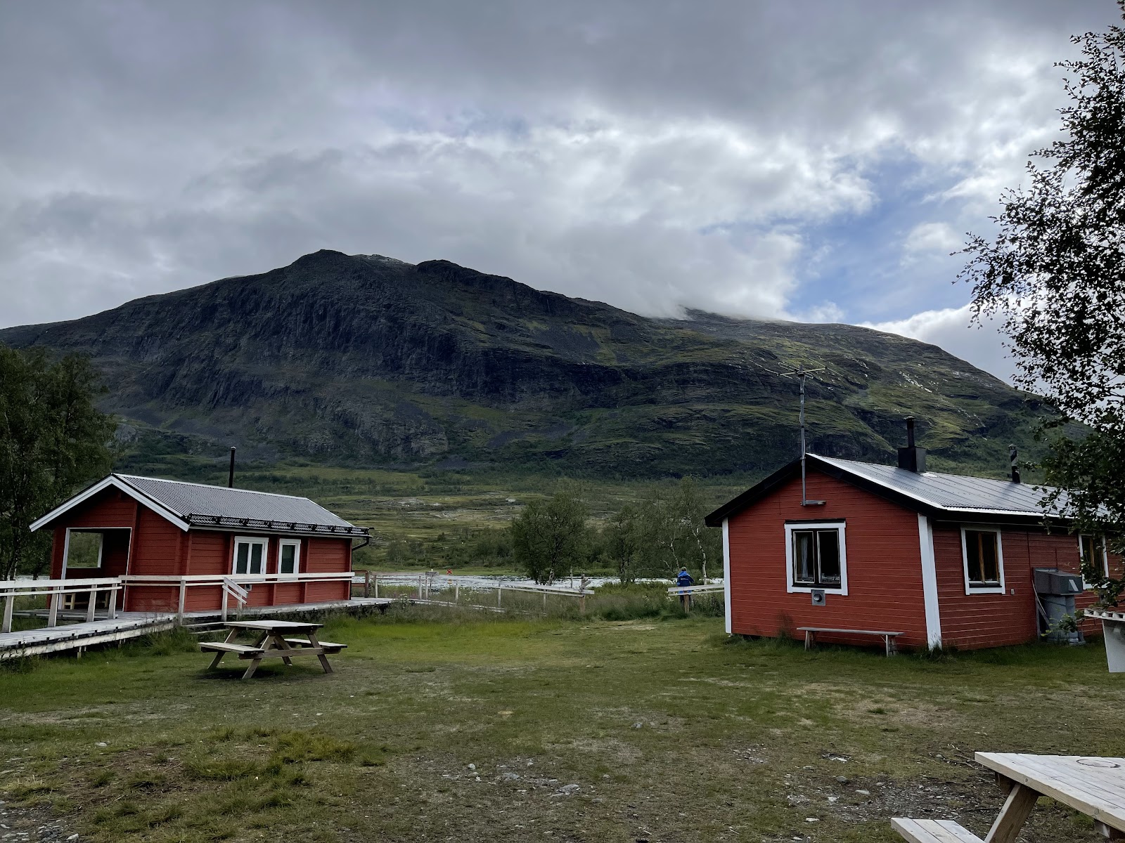 Robin T (Rbjorn)