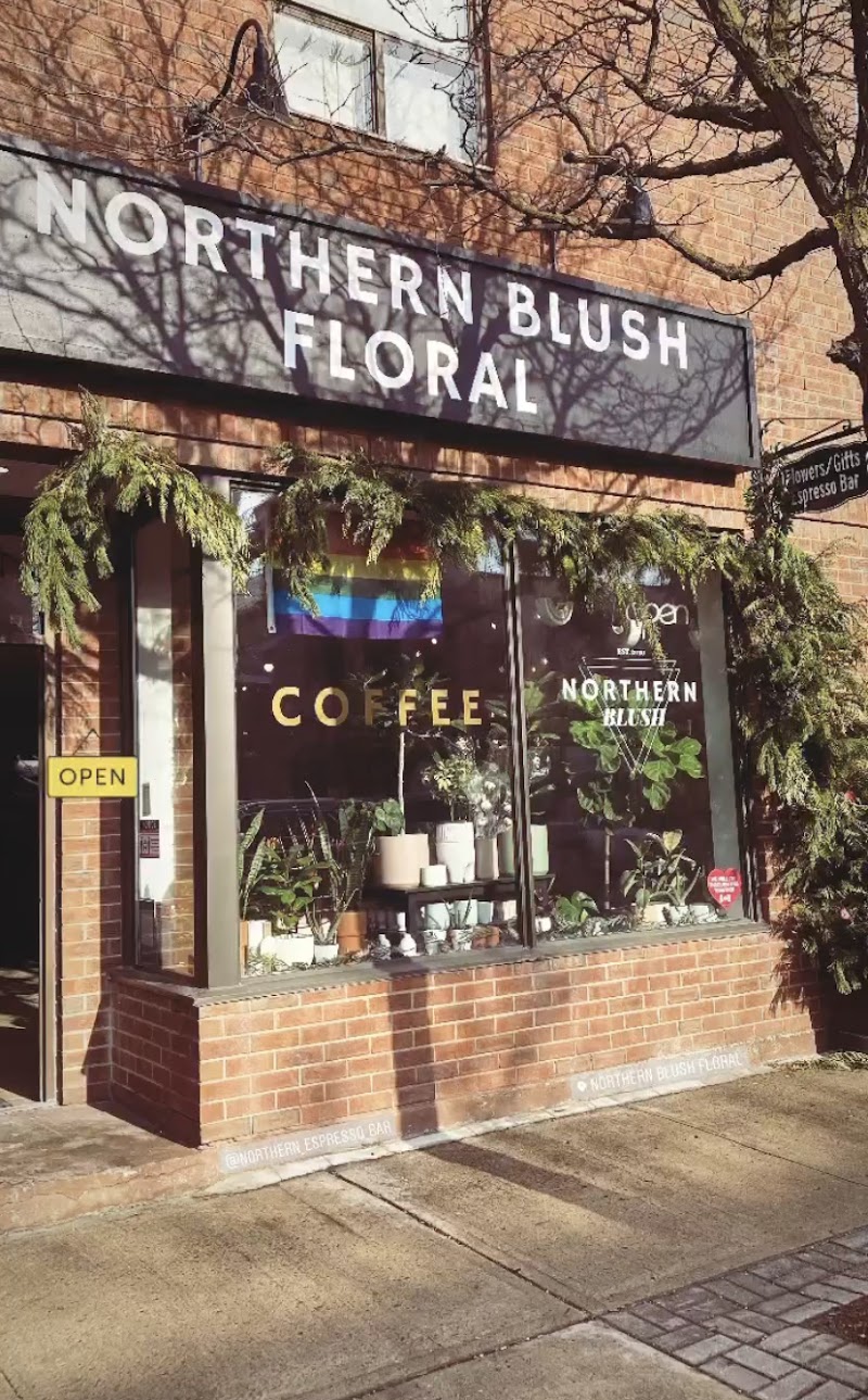 Northern Espresso photo 1