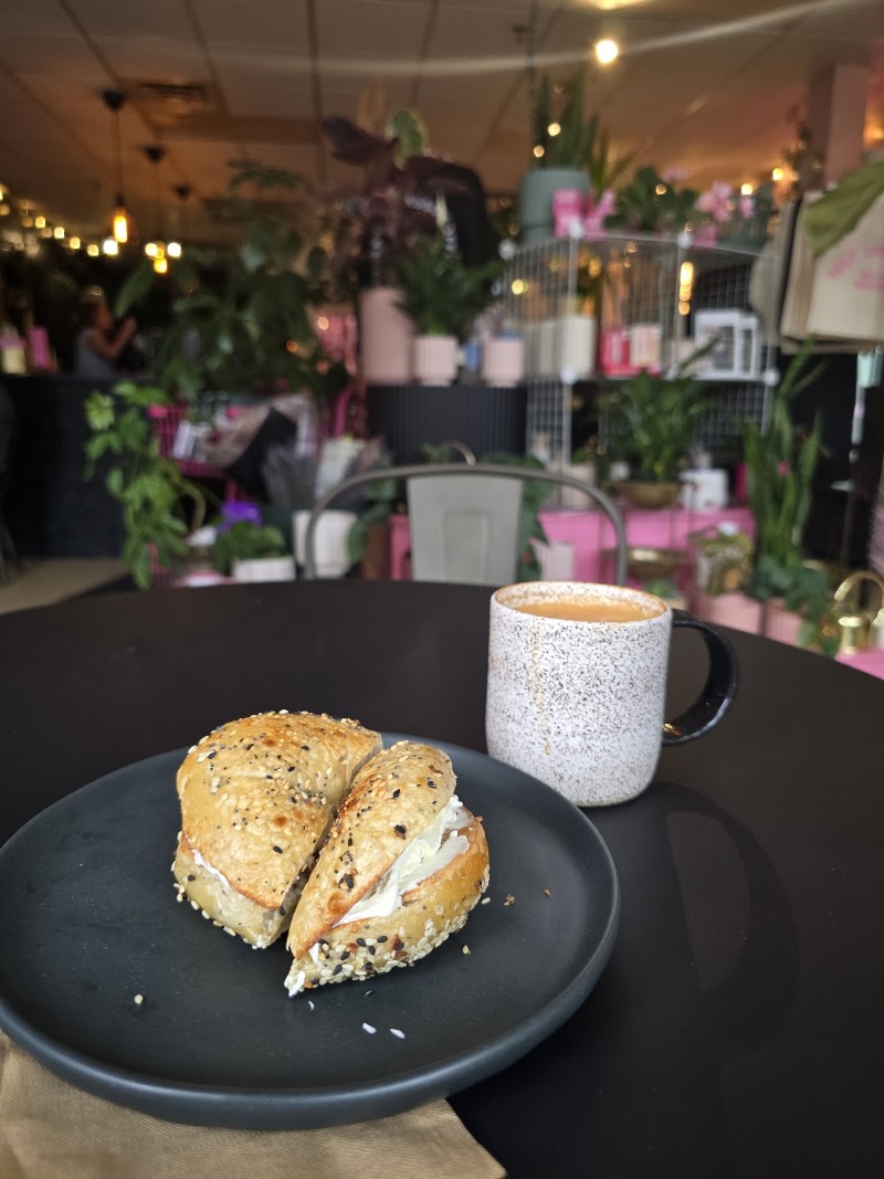 Northern Espresso photo 4