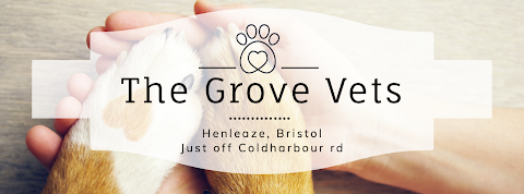The Grove Vets in Bristol