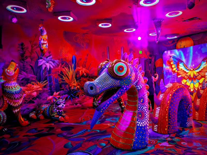 Fantasy Lab - Colors of Mexico photo 1