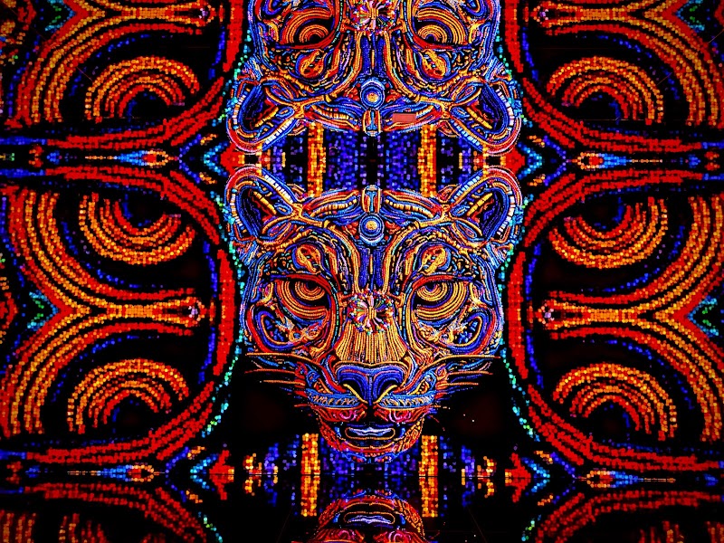 Fantasy Lab - Colors of Mexico photo 5