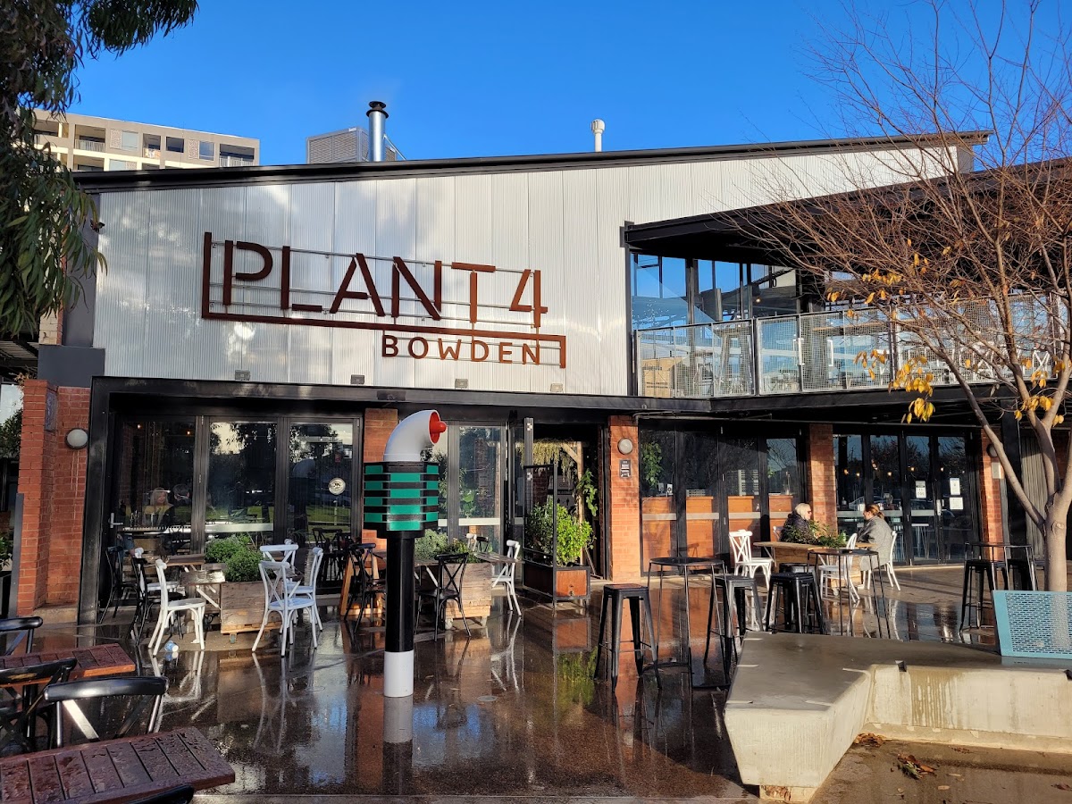 Plant 4 Bowden