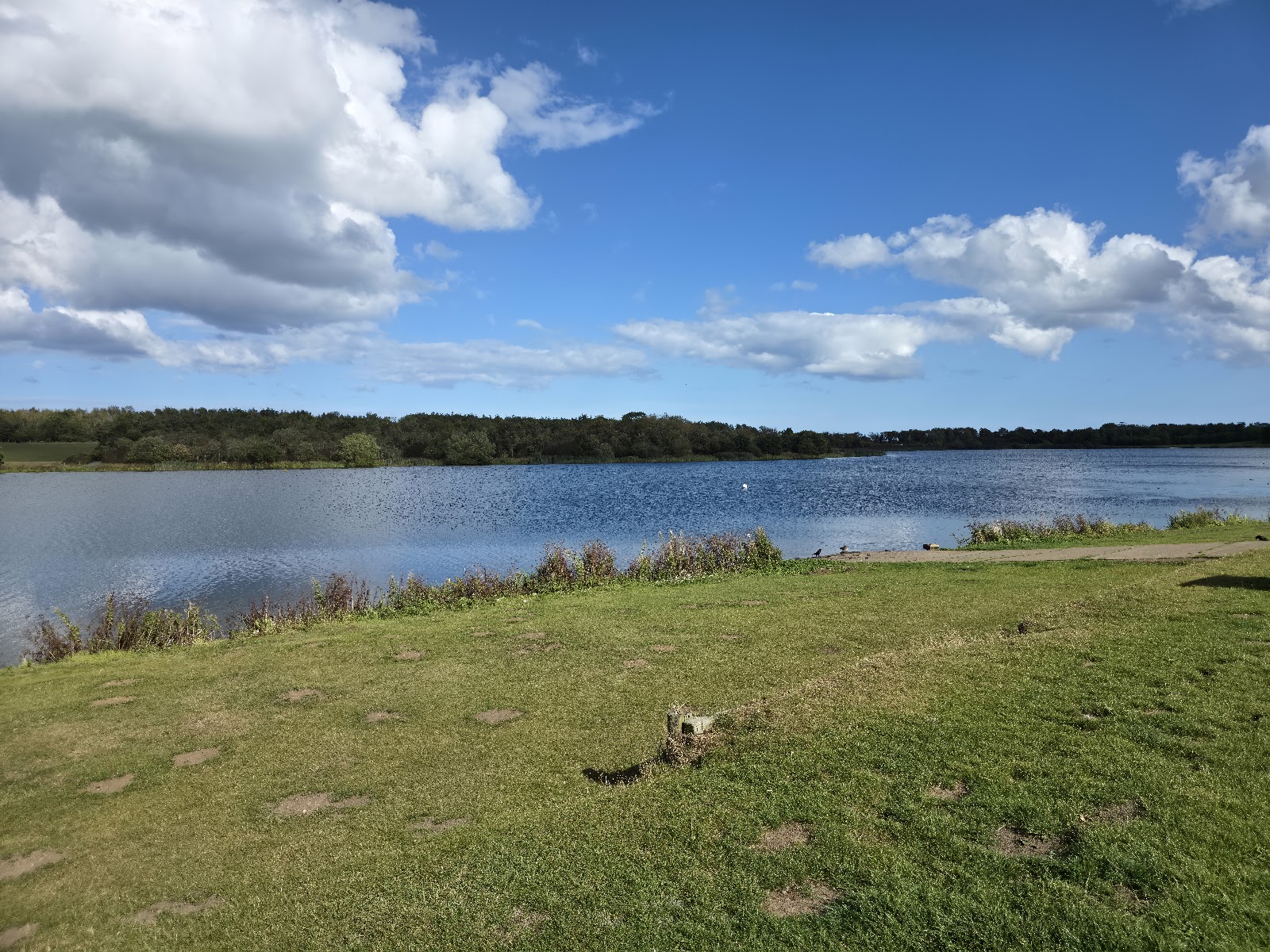 Northumberland's Best Adventure Playgrounds and Play Parks