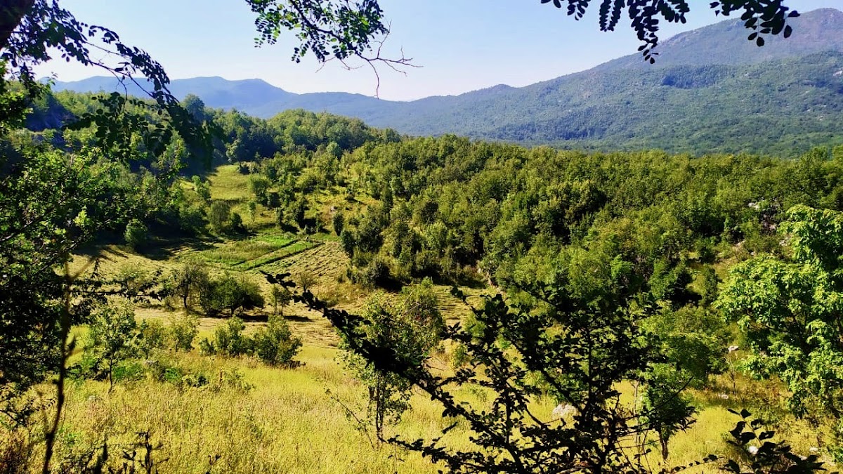 GEA Retreat Montenegro — 4