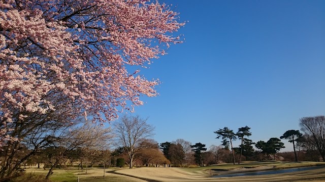 Akagi Golf Club - Photo 9