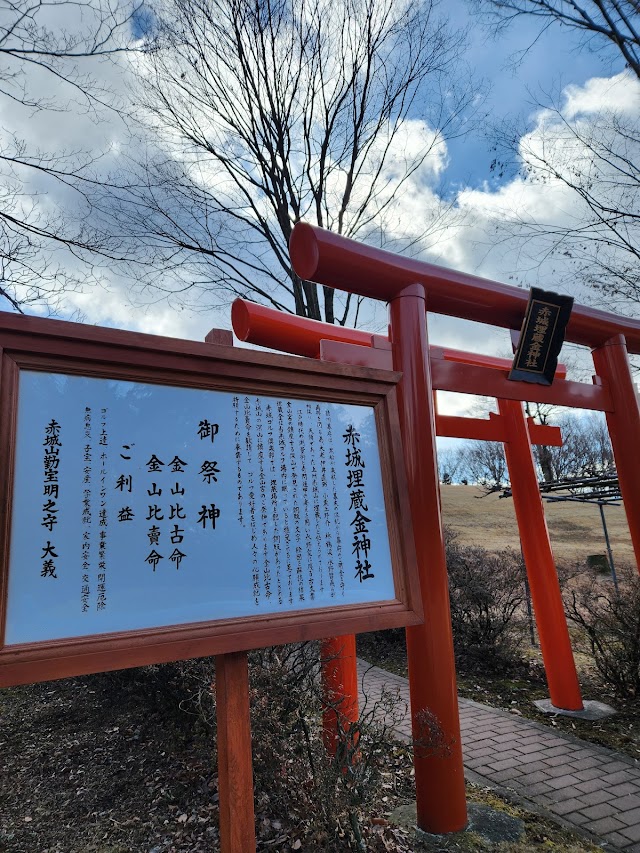 Akagi Golf Club - Photo 8