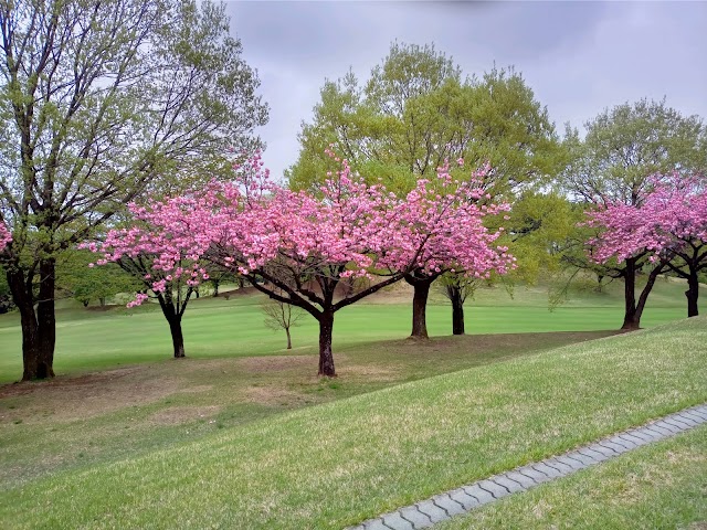 Akagi Golf Club - Photo 7