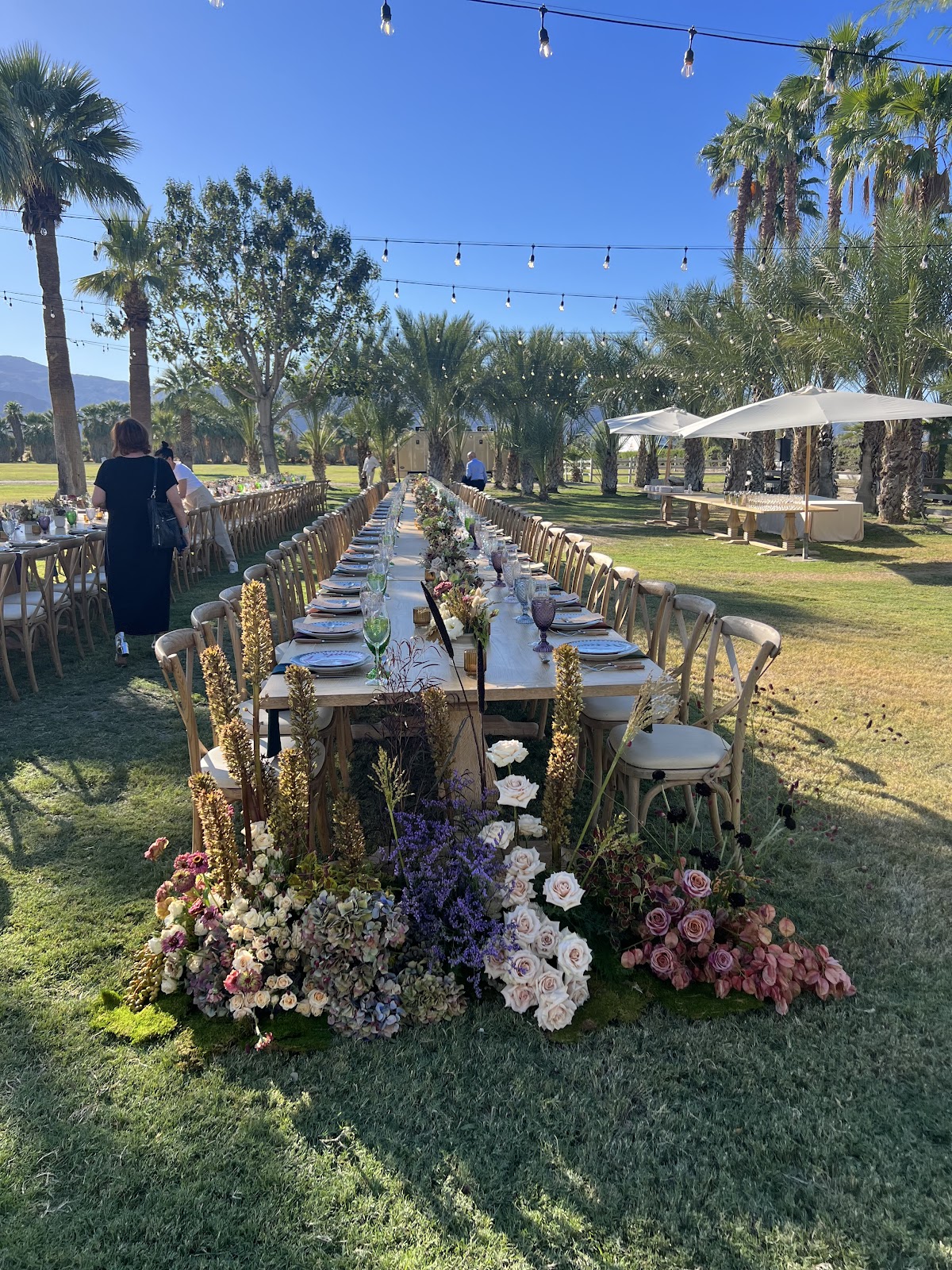 David Pressman Events: Google Places image 2