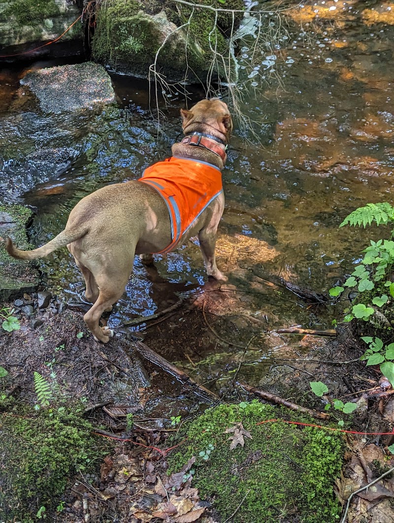 Hyzer Creek Disc Golf Course photo 2