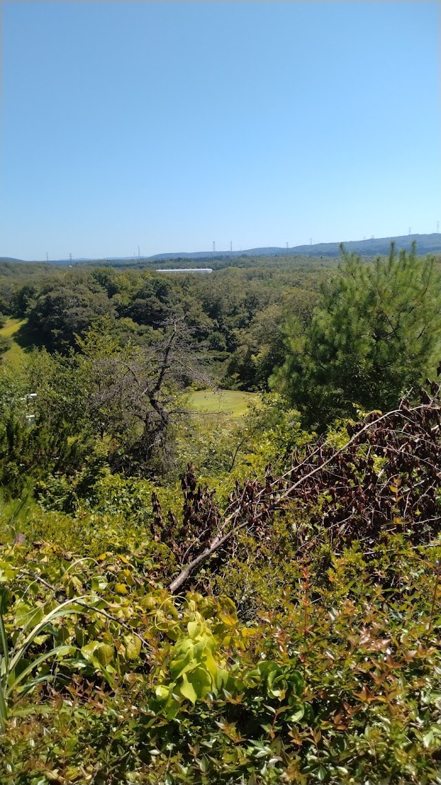 Noto Golf Club - Photo 3