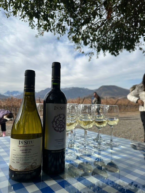 Viña San Esteban In Situ Family Vineyards