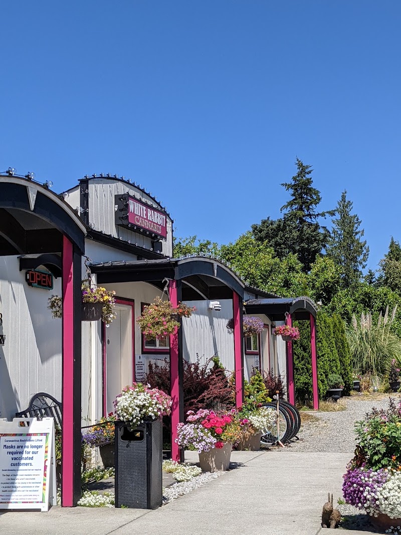 Video tour of White Rabbit Cannabis - Lynnwood Weed Dispensary retail environment