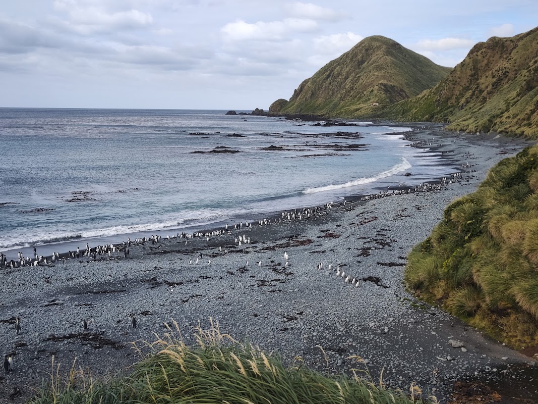 Macquarie Island