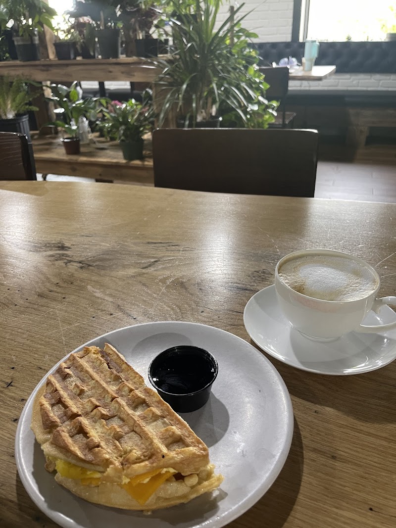 Curiouser Coffee and Conservatory photo 2