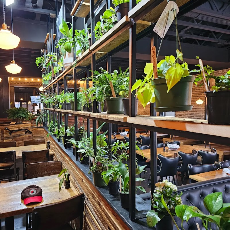 Curiouser Coffee and Conservatory photo 3