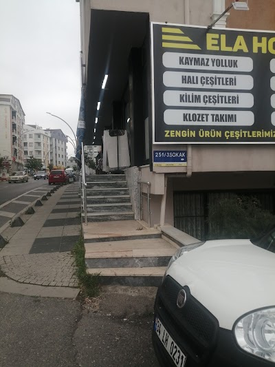 Afm Hali Yikama - Temizlik