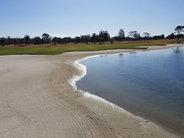 The Royal Golf Club - Photo 6